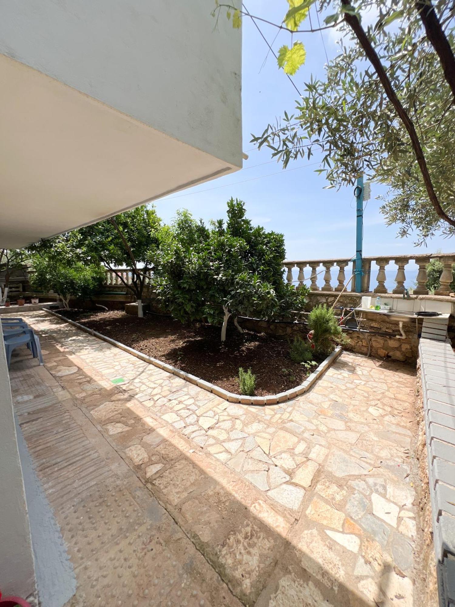 Petra Oliva Apartment Dhërmi Dış mekan fotoğraf