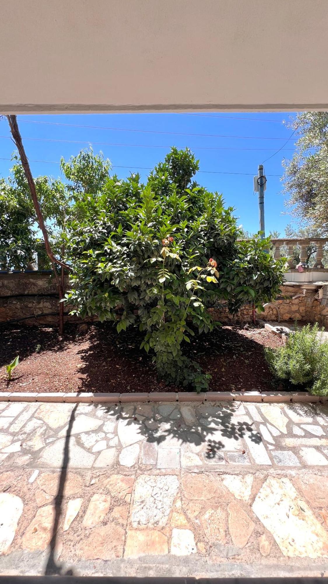 Petra Oliva Apartment Dhërmi Dış mekan fotoğraf